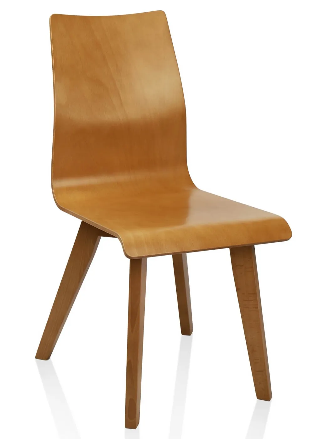 Dante wood, Beech wood